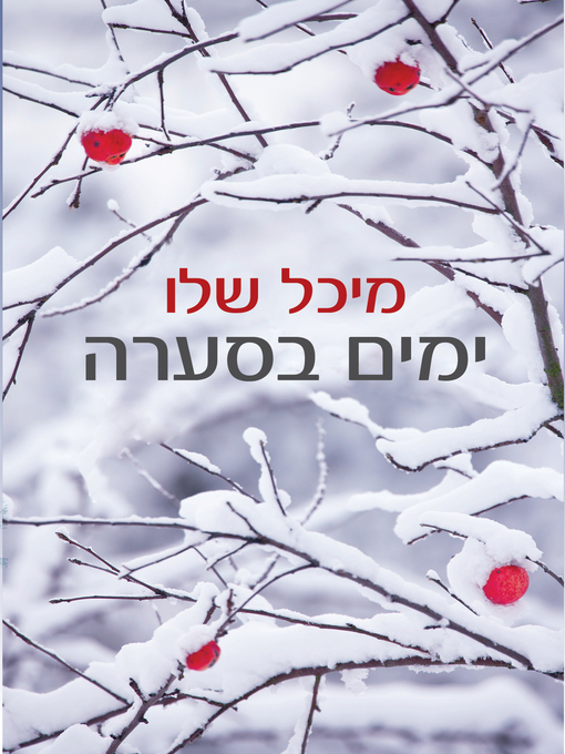 Cover of ימים בסערה (Snowstorm)